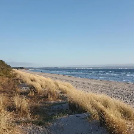 Baltic *